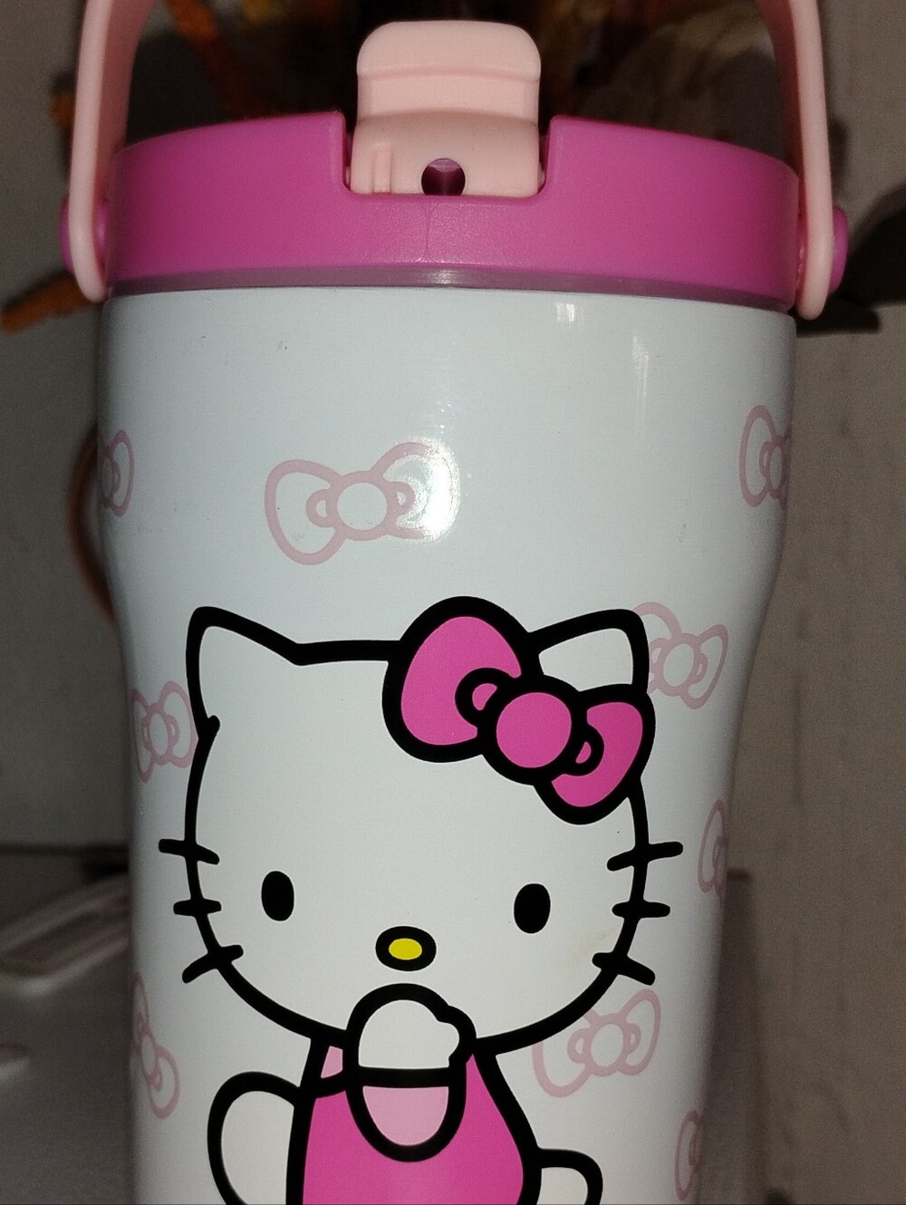 Hello Kitty Pink and White Kids Water Bottle